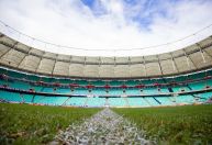 Horário e onde assistir ao vivo Bahia x RB Bragantino, pelo Brasileirão