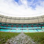 Horário e onde assistir ao vivo Bahia x RB Bragantino, pelo Brasileirão