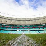 Horário e onde assistir ao vivo Bahia x Palmeiras, pelo Campeonato Brasileiro