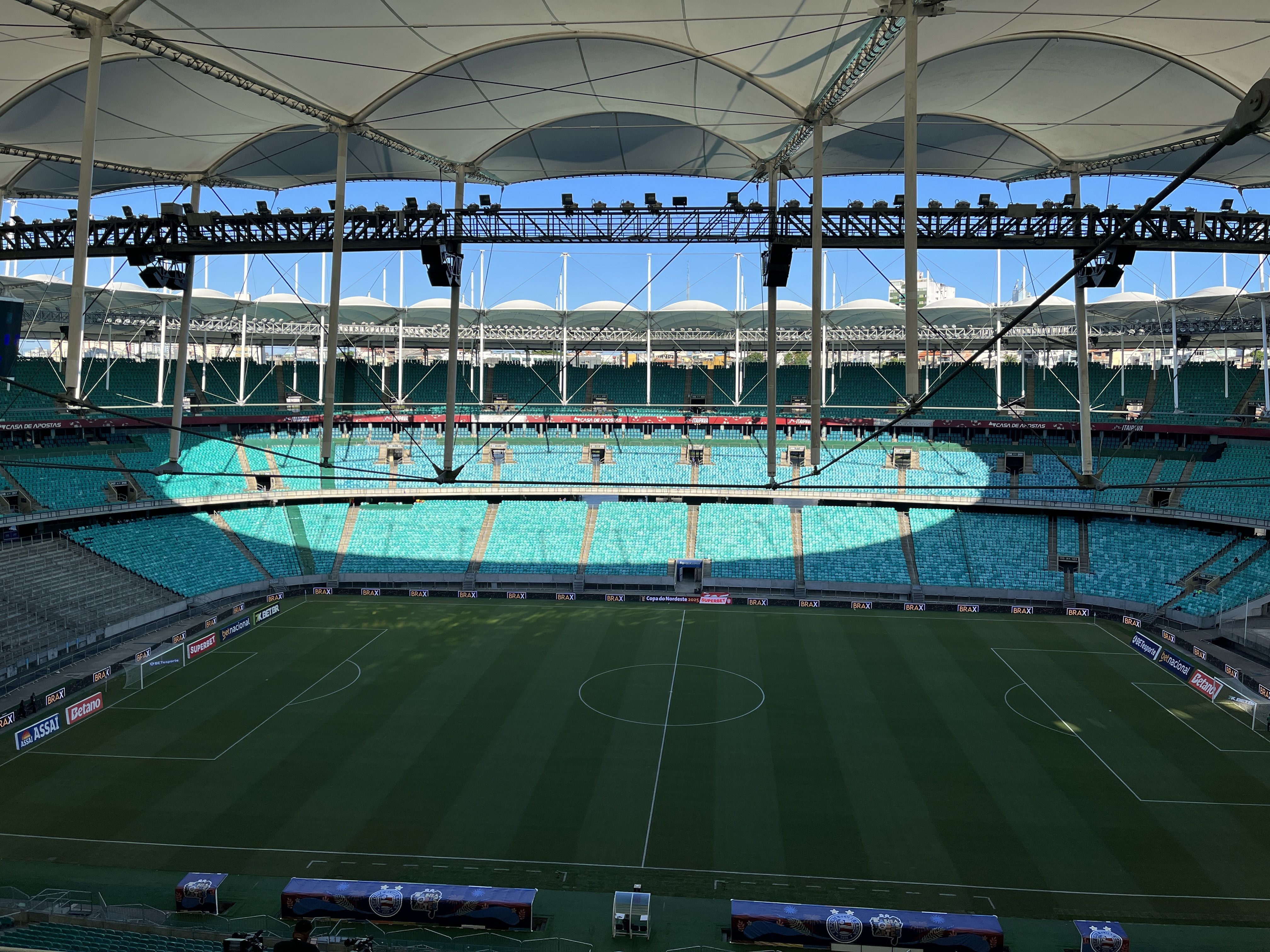 Bahia x Palmeiras: veja as escalações para o confronto pelo Campeonato Brasileiro