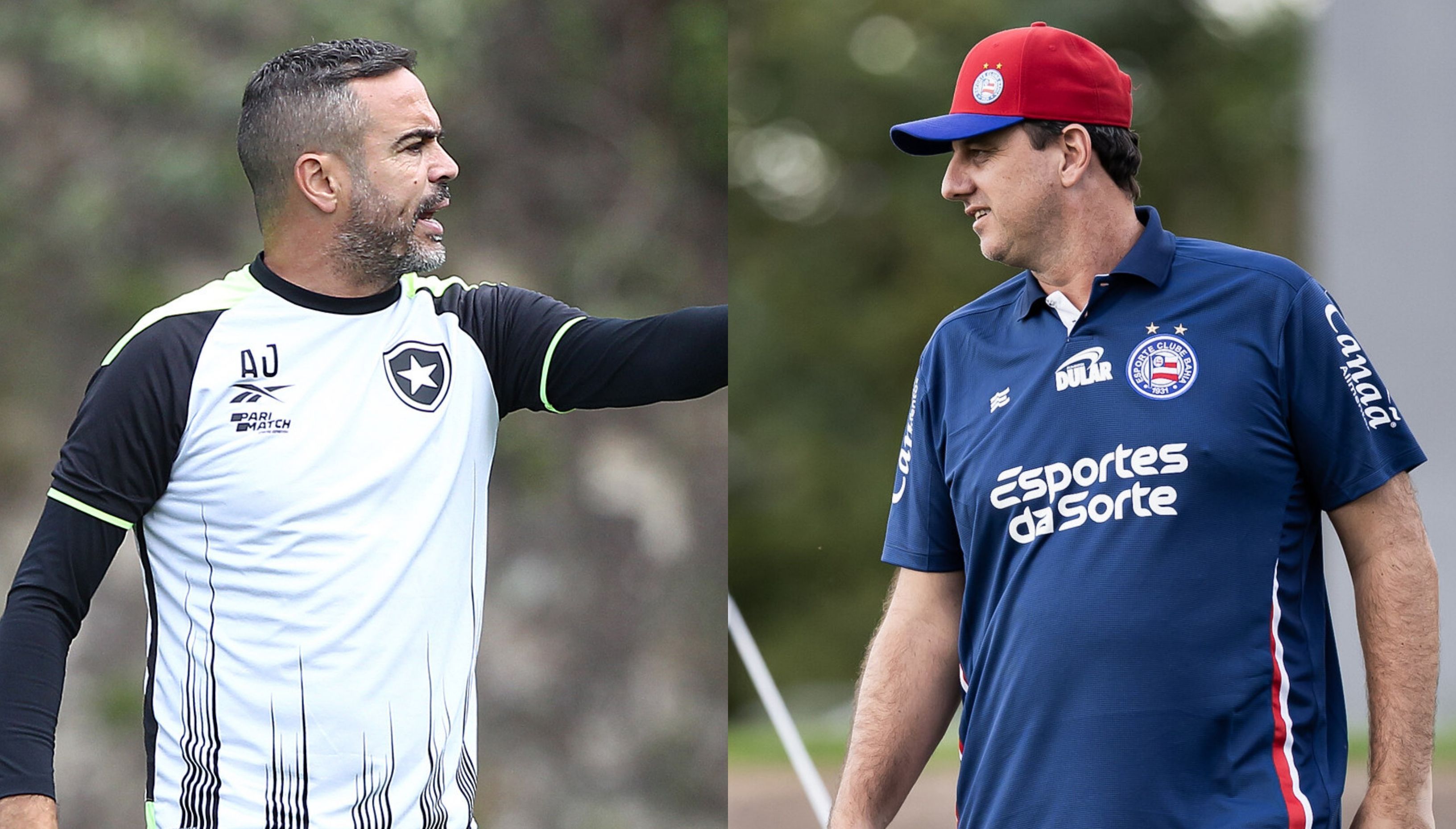 Botafogo x Bahia: veja prováveis escalações para jogo da Copa do Brasil