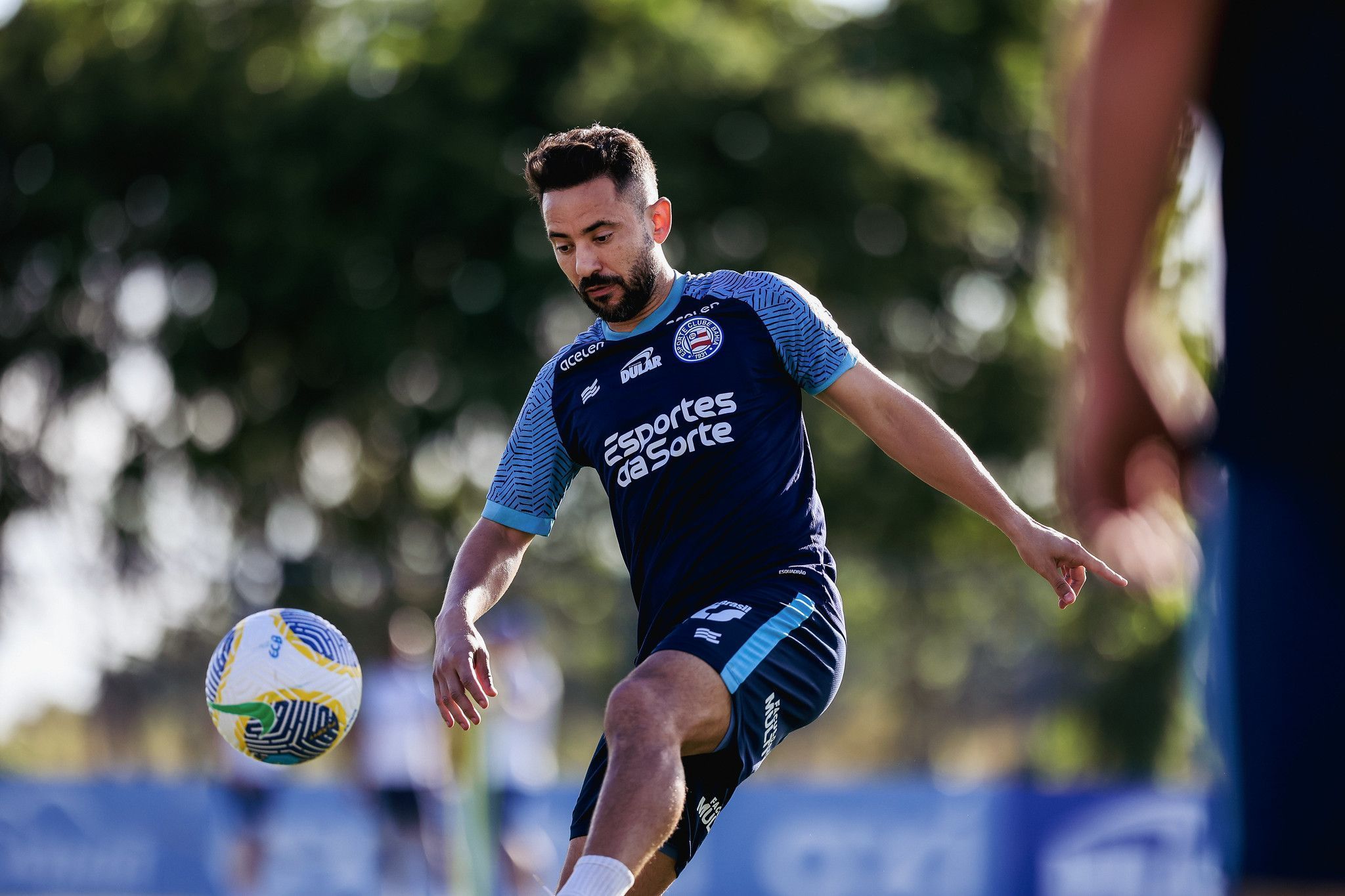 Botafogo x Bahia: Everton Ribeiro revela o que pensa sobre gramado sintético