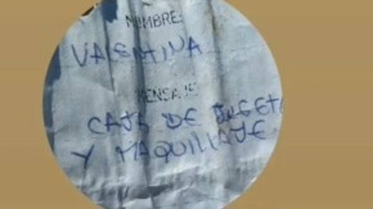 Balão de criança com carta pedindo brinquedos percorre mais de mil quilômetros entre Argentina e Brasil; entenda  