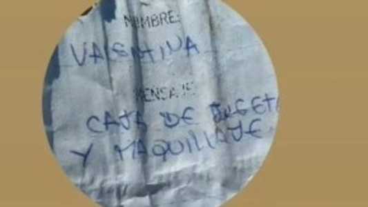 Balão foi solto no dia 20 de agosto, durante festa das crianças na Província de Santa Fé, na Argentina