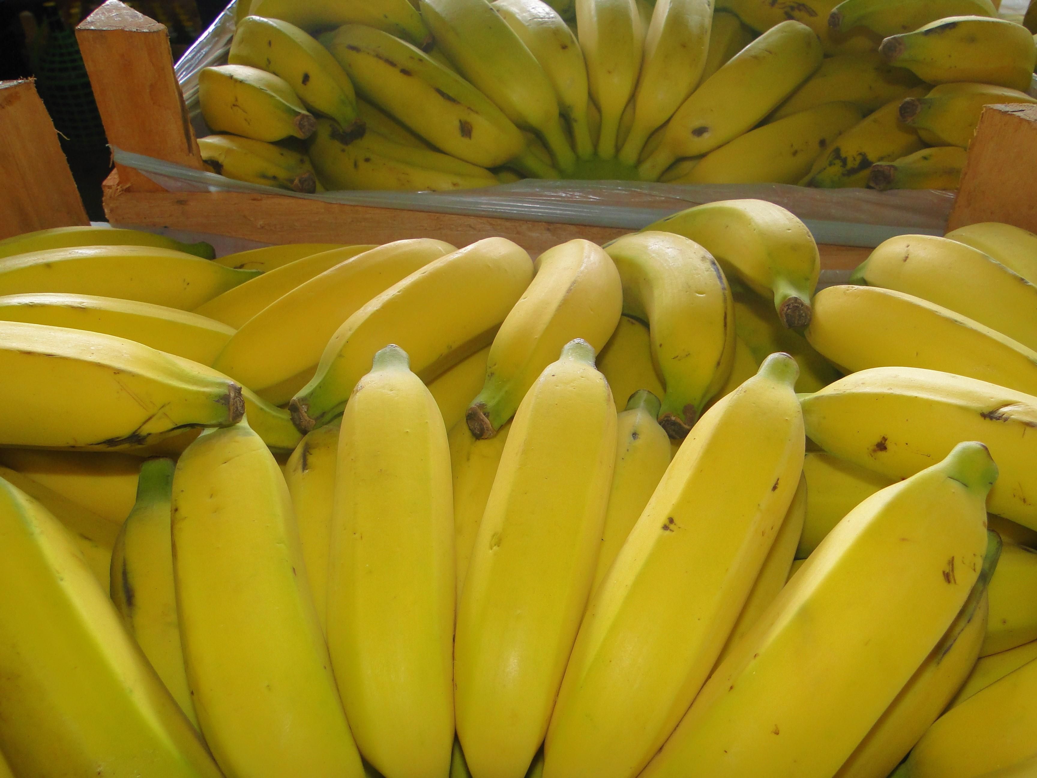 Seminário atualiza tecnologias utilizadas por fruticultores do Norte de Minas