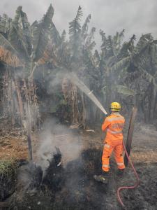 Responsável pelo incêndio não foi encontrado.