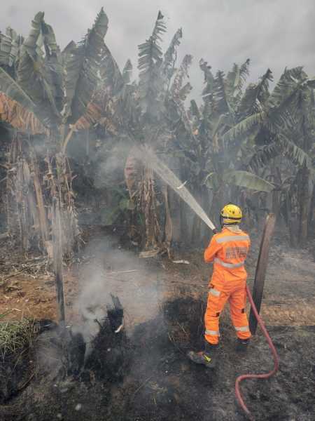 Responsável pelo incêndio não foi encontrado.