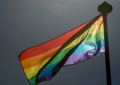 Bandeira LGBT Marcelo Camargo.png