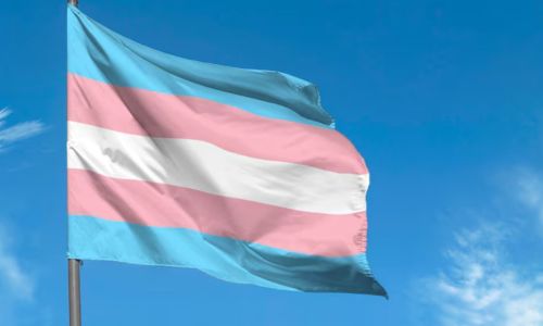 bandeira trans transexuais e travestis