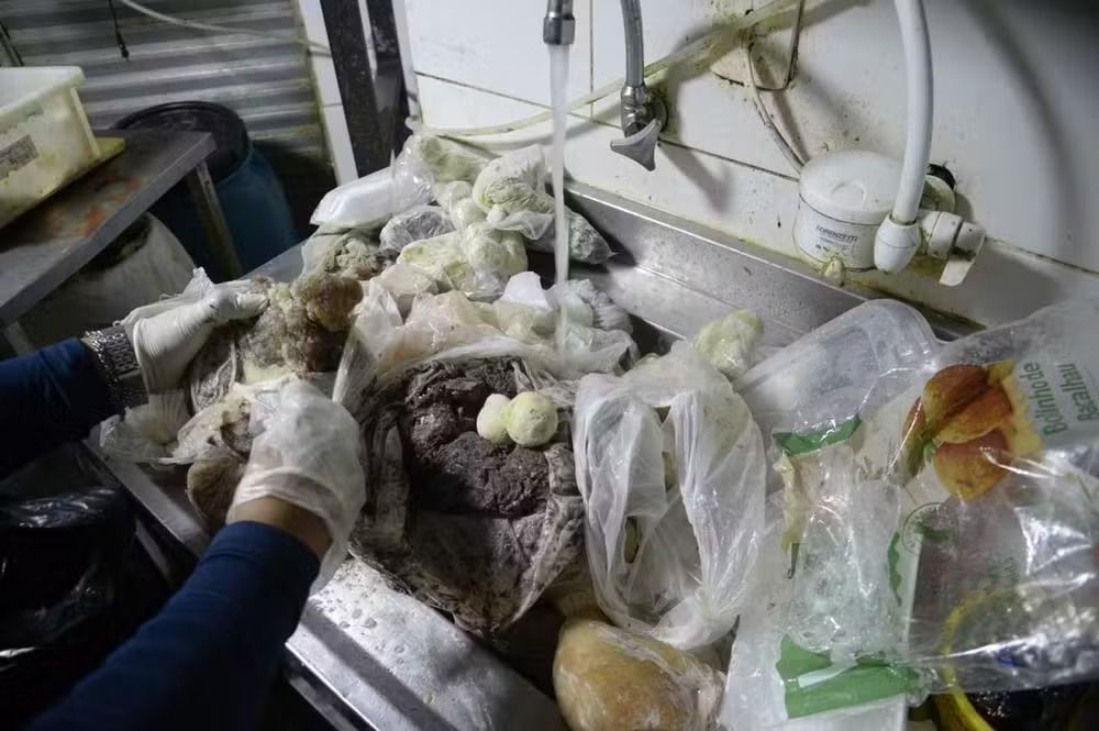 Bares são interditados no Rio após operação encontrar baratas e fezes de roedores; veja fotos