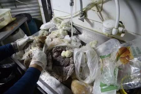 Bares são interditados no Rio após operação encontrar baratas e fezes de roedores; veja fotos