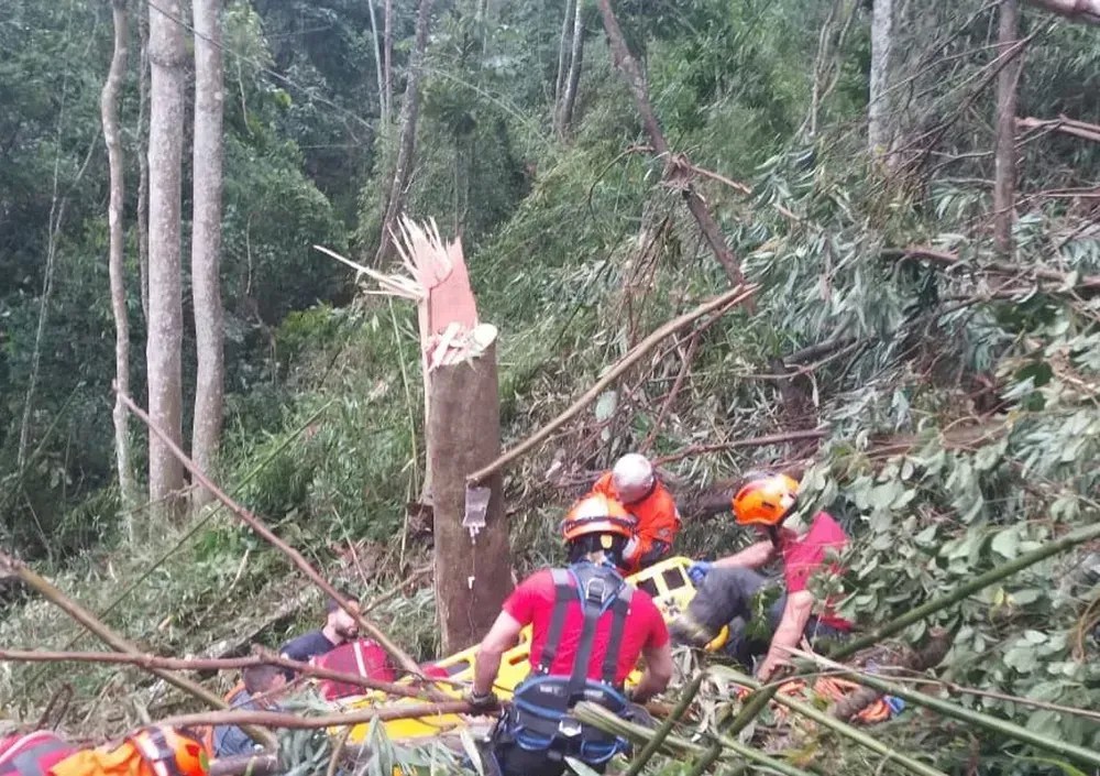 Homem é resgatado após quebrar perna durante poda de árvore em área de mata em SP