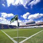 Palmeiras escalado: Abel Ferreira poupa poucos atletas contra o Botafogo-SP