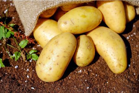 Aprenda a fazer esse tipo de batata sem óleo!
