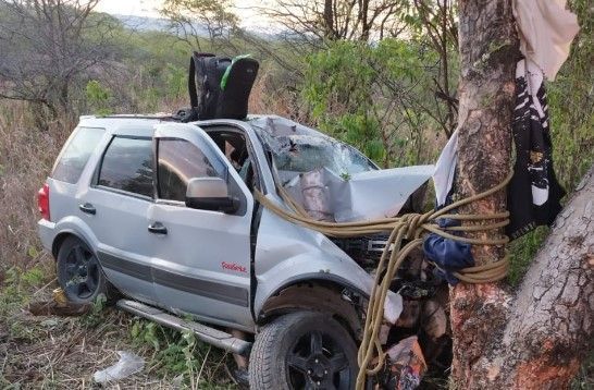 Carro bate em árvore na BR-251, no Norte de Minas, e mata mãe e filho