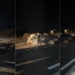 Oito mortos em acidente na BR-491, no Sul de Minas, são identificados; criança está entre as vítimas