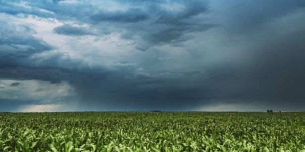 Produtor rural terá mais apoio do governo estadual no período das chuvas