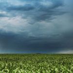 Valdir Barbosa | Produtor rural terá mais apoio do governo estadual no período das chuvas