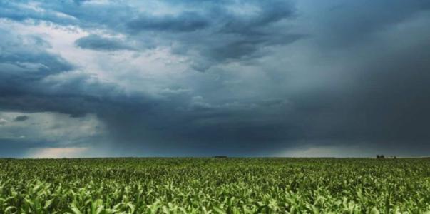 Produtor rural terá mais apoio do governo estadual no período das chuvas