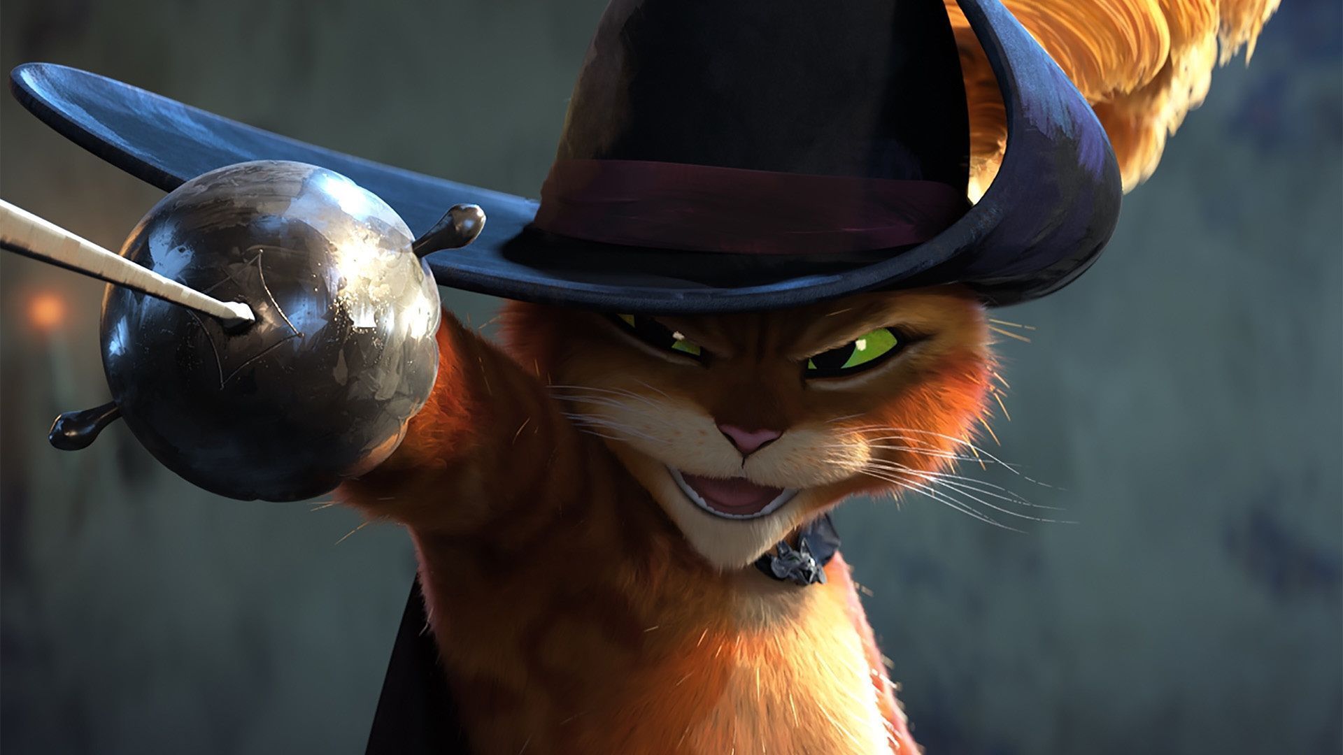 Conheça 5 filmes em que os gatos são as grandes estrelas