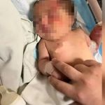 Bebê é encontrada em saco carregado por cachorro no Líbano