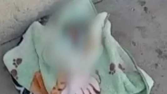 Bebê foi encontrado perto de igreja em Ribeirão das Neves
