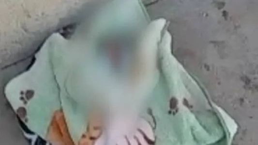 Bebê foi encontrado perto de supermercado em Ribeirão das Neves