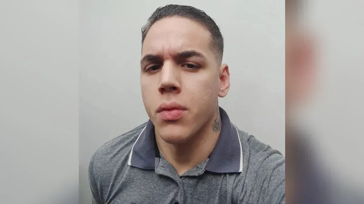 Brasileiro é condenado a internação na Holanda após alegar ter carne humana em mala