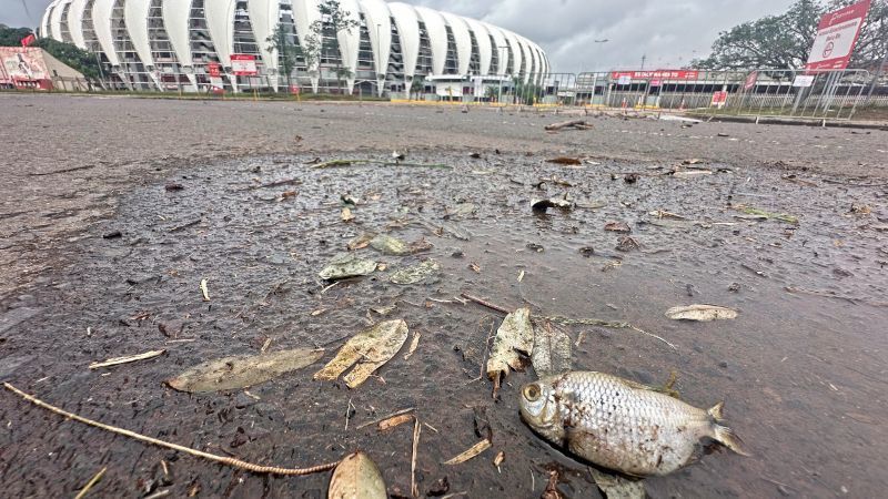 Com peixe e campo destruído, fotos mostram como está estádio Beira-Rio, do Inter