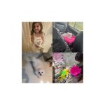 Filhote da raça Lulu da Pomerânia desaparece no bairro Ibituruna, em Montes Claros