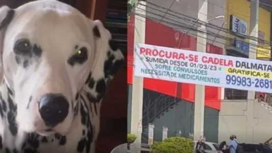 Bella tem dois anos e faz tratamento com medicamentos controlados