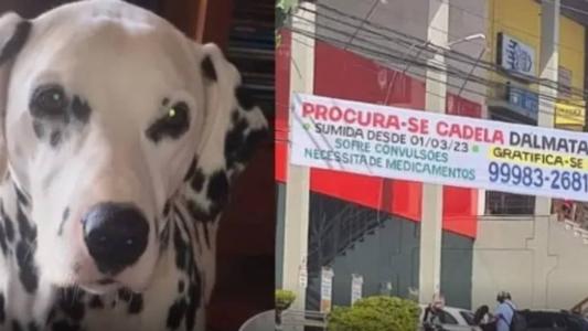 Bella tem dois anos e faz tratamento com medicamentos controlados