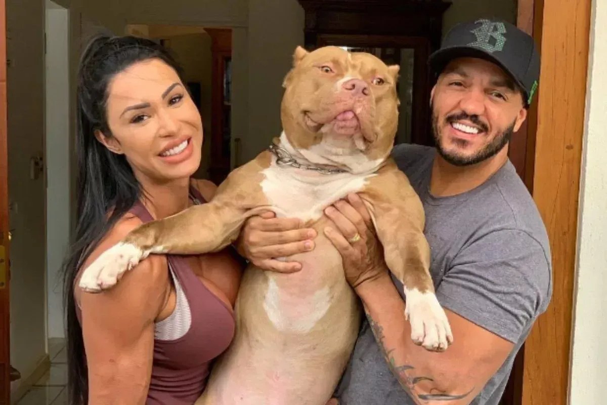 ‘Para nós, um filho’, Gracyanne e Belo lamentam morte de Thor nas redes sociais