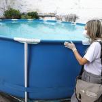 Sem inseticida, BH, Nova Lima, Betim, Santa Luzia e Neves buscam meios para combater o mosquito da dengue