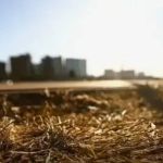 Mais de 320 municípios de MG estão em alerta de perigo para baixa umidade com onda de calor