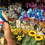 Estandes de flores aquecem o comércio da região da Savassi na véspera do Dia das Mães