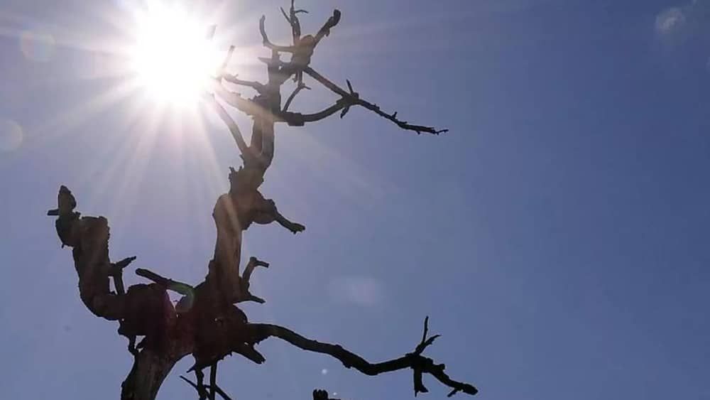Onda de calor começa nesta sexta (10) em BH; veja a previsão do tempo
