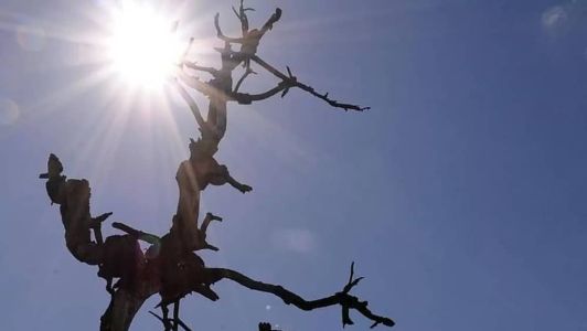 BH pode ter novos recordes de calor em novembro