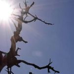 Onda de calor começa nesta sexta (10) em BH; veja a previsão do tempo