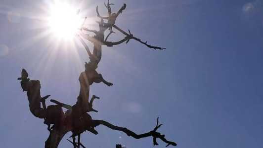 BH pode ter novos recordes de calor em novembro