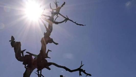 BH pode ter novos recordes de calor em novembro