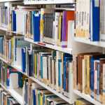 Dia Nacional da Biblioteca: BH celebra a data com diversas opções para os amantes da leitura