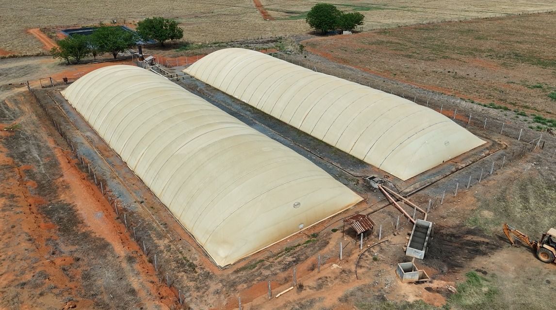 Energia gerada através do lixo; Minas aposta no potencial dos resíduos orgânicos