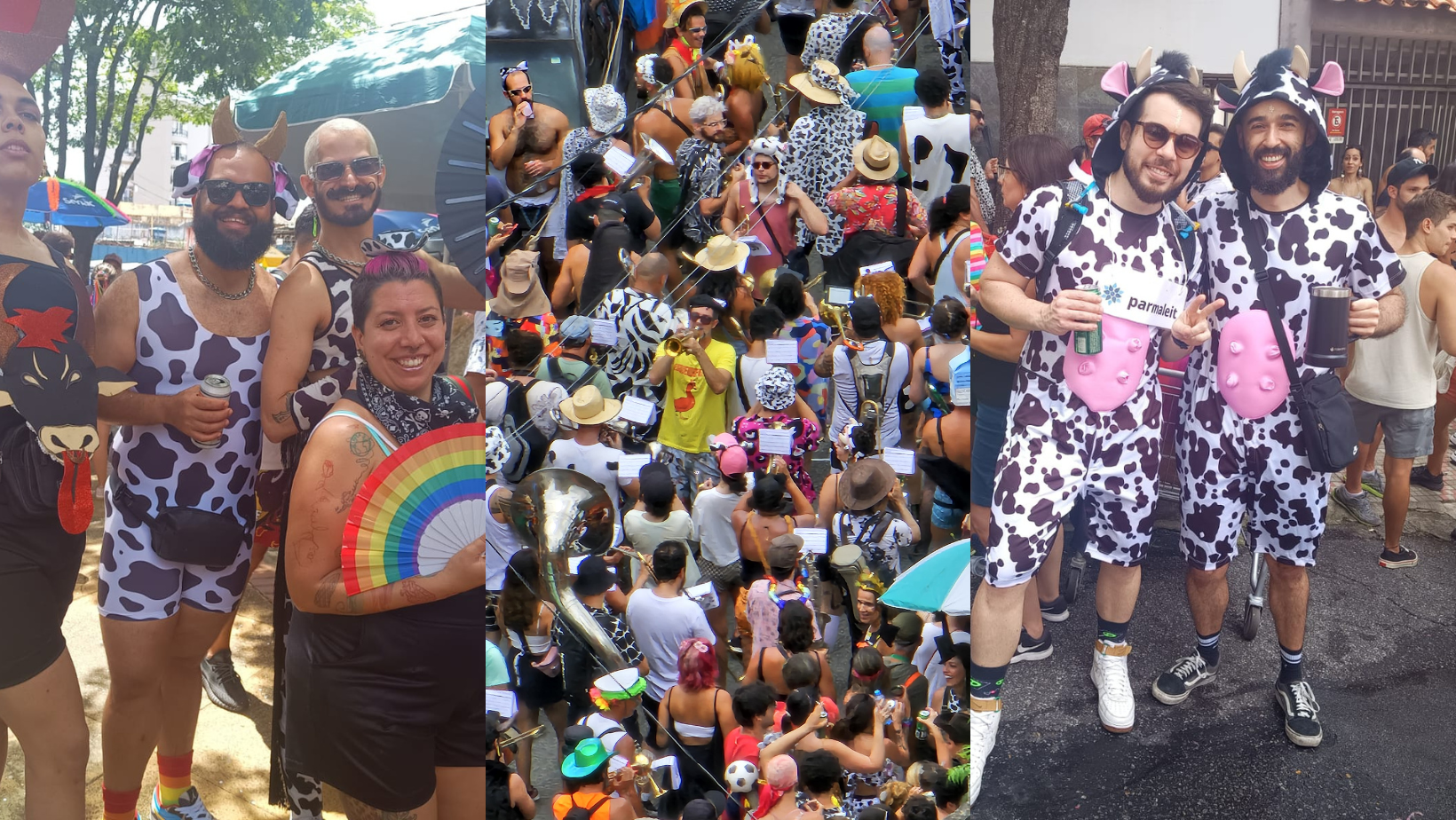 Carnaval 2024: vaquinhas, muito glitter e bebida no crédito, veja imagens do bloco Mamá na Vaca