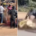 Boi morre atropelado perto de Brasília e moradores disputam carne do animal