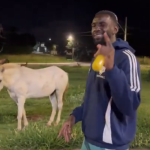 Bolasie surpreende e conversa com cavalo ao celebrar vitória do Cruzeiro; assista