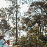 Parque do Palácio tem corrida de rolimã e cinema gratuito ao ar livre neste fim de semana