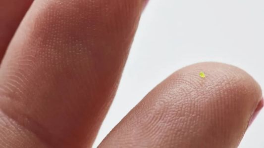 Bolsa é toda confeccionada em resina