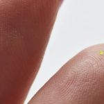 Bolsa microscópica da Louis Vuitton, menor que um grão de sal, será leiloada na Semana de Moda de Paris 