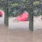 Vídeo: após carro ser 'engolido' pela enxurrada, bombeiros procuram homem desaparecido em Petrópolis